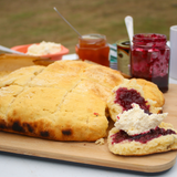 Camping Edition (Hardcover Cookbook)